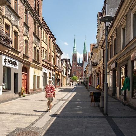 Central Platinum Apartments 28 Z Balkonem Rybnik  Dış mekan fotoğraf